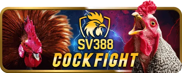 Cá cược thể thao tại hi8802 link vào